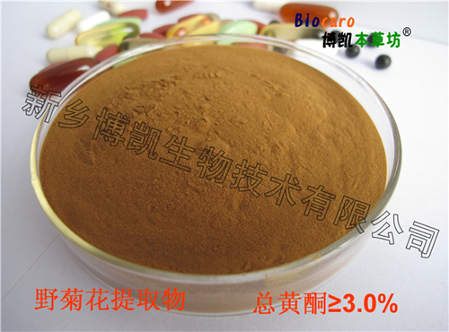 野菊花提取物 野菊花提取物